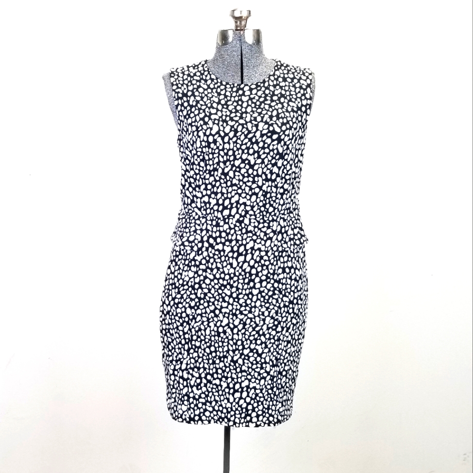 Ann Taylor Dress!